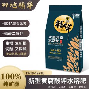 19-19-19+TE 磷酸二氢钾型